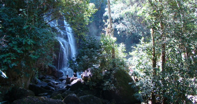 Campos Gerais National Park图片