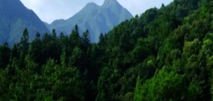 庐山马尾水生态旅游风景区