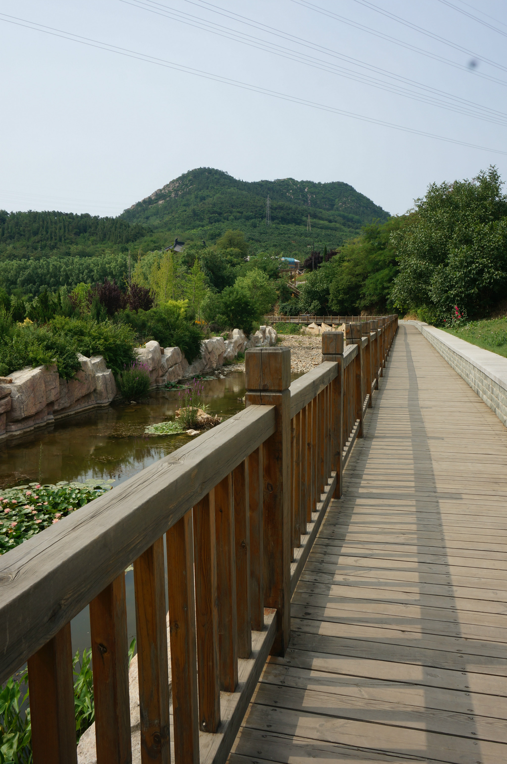 春遊兩則大連旅順英歌石植物園金龍寺森林公園