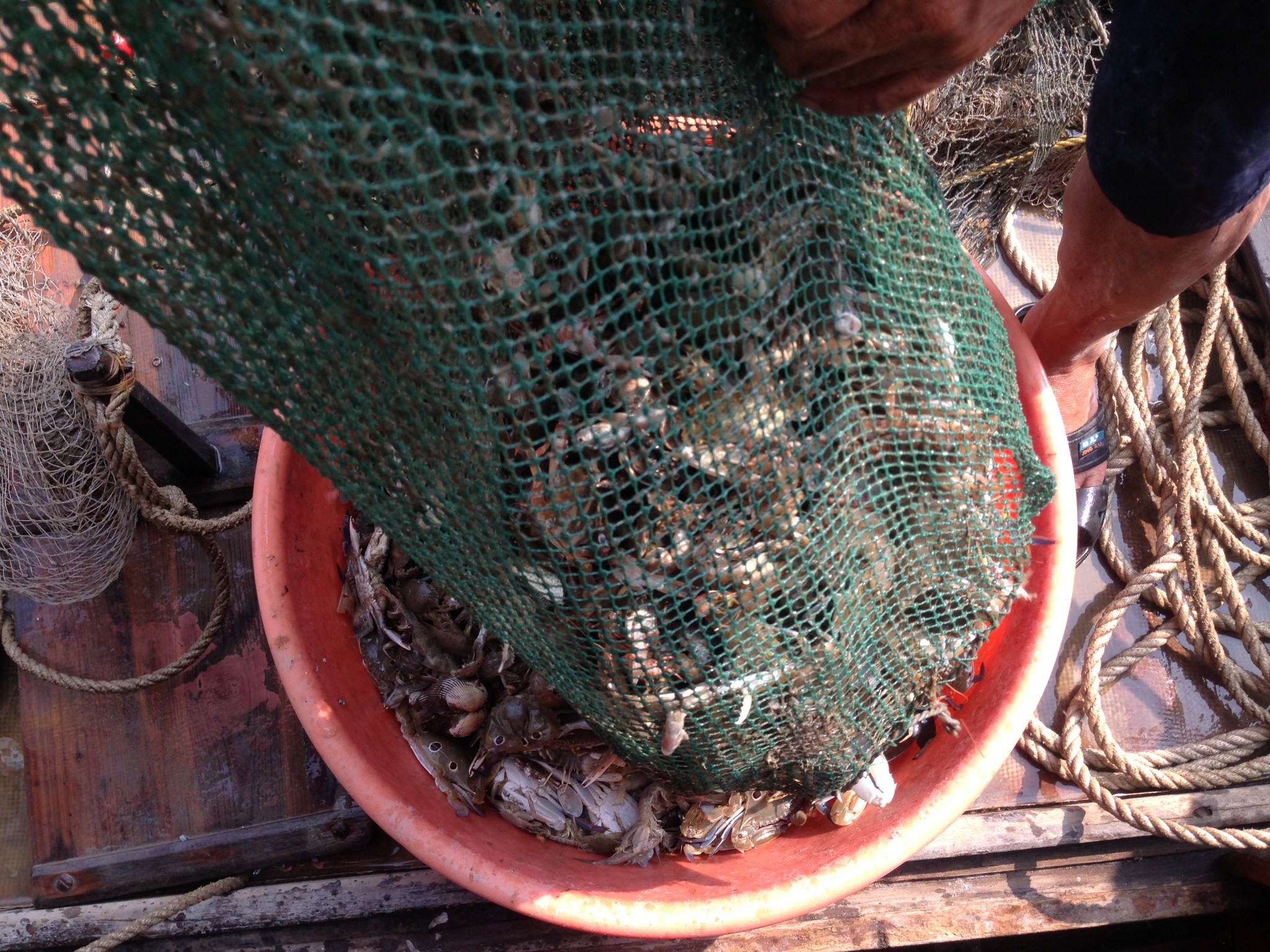 2014.10.02~2014.10.04惠东盐洲岛,双月湾家庭行