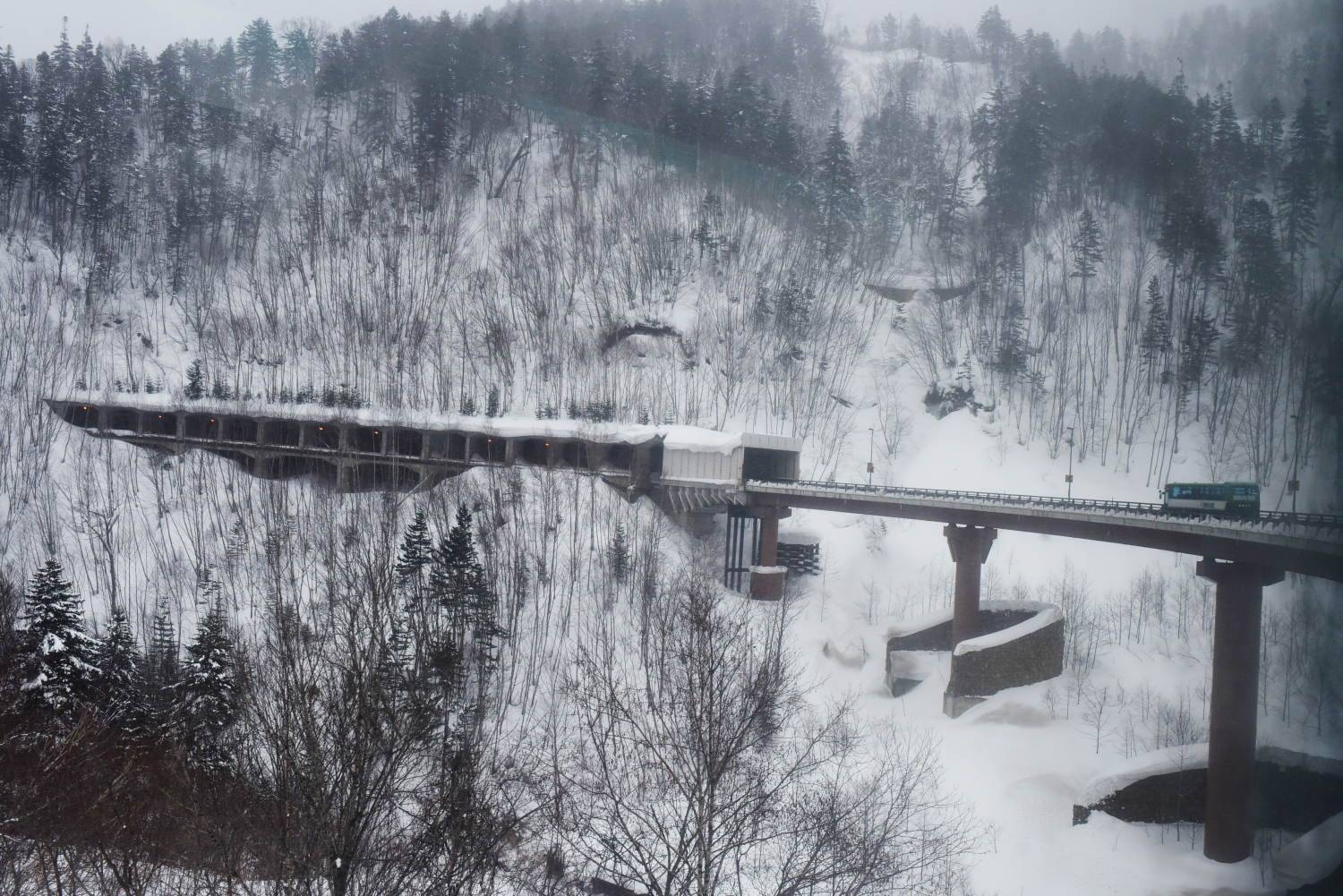 北海道自助遊攻略