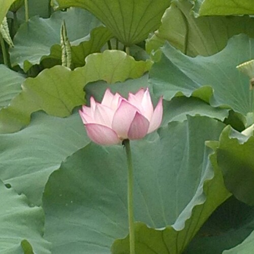 ^_^微笑熊的窝*_*