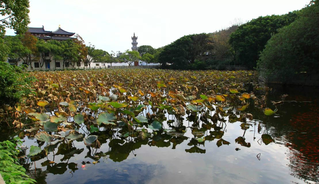 海天佛國普陀,普陀山自助遊攻略 - 馬蜂窩