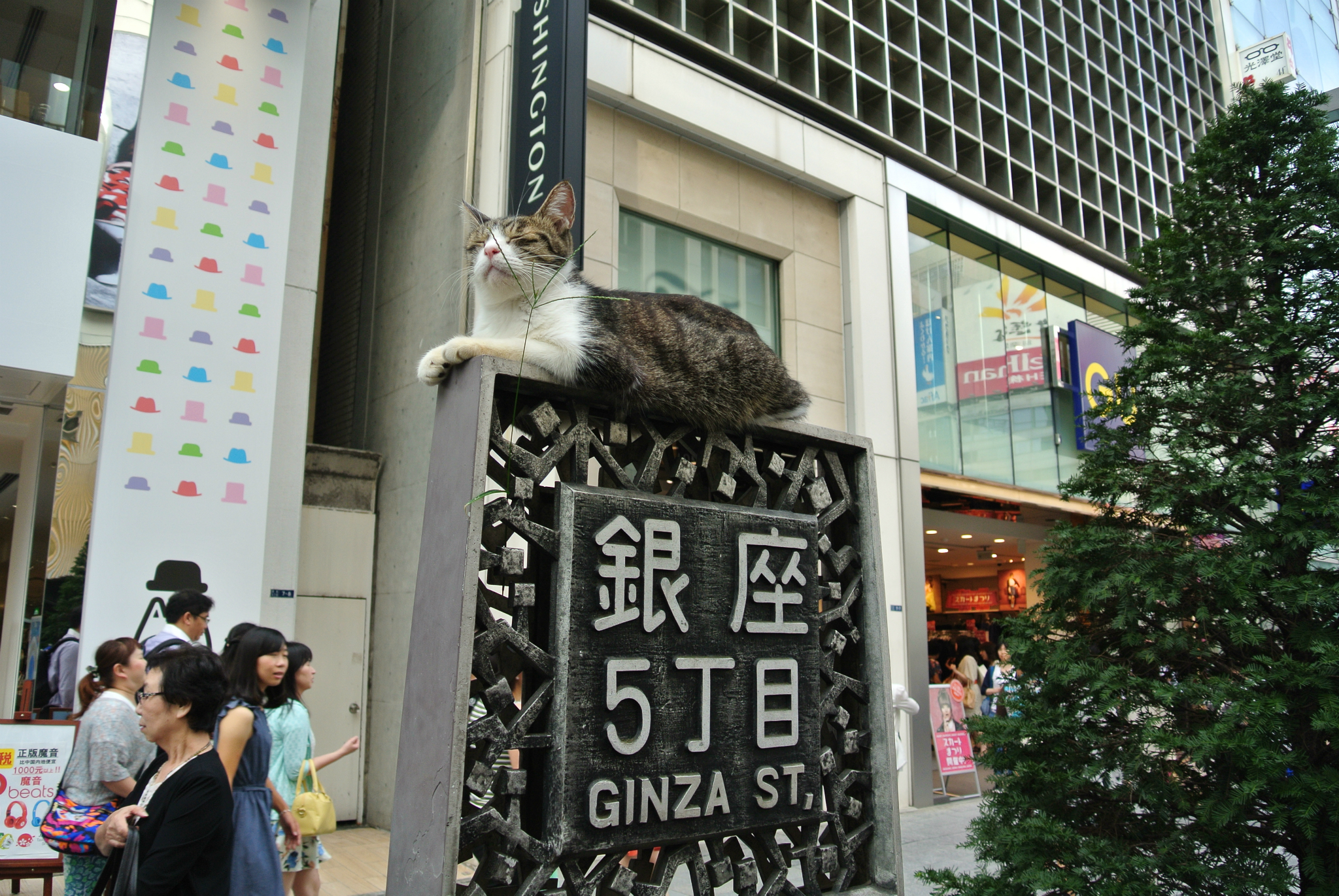 卡尔加里美食-Ginza