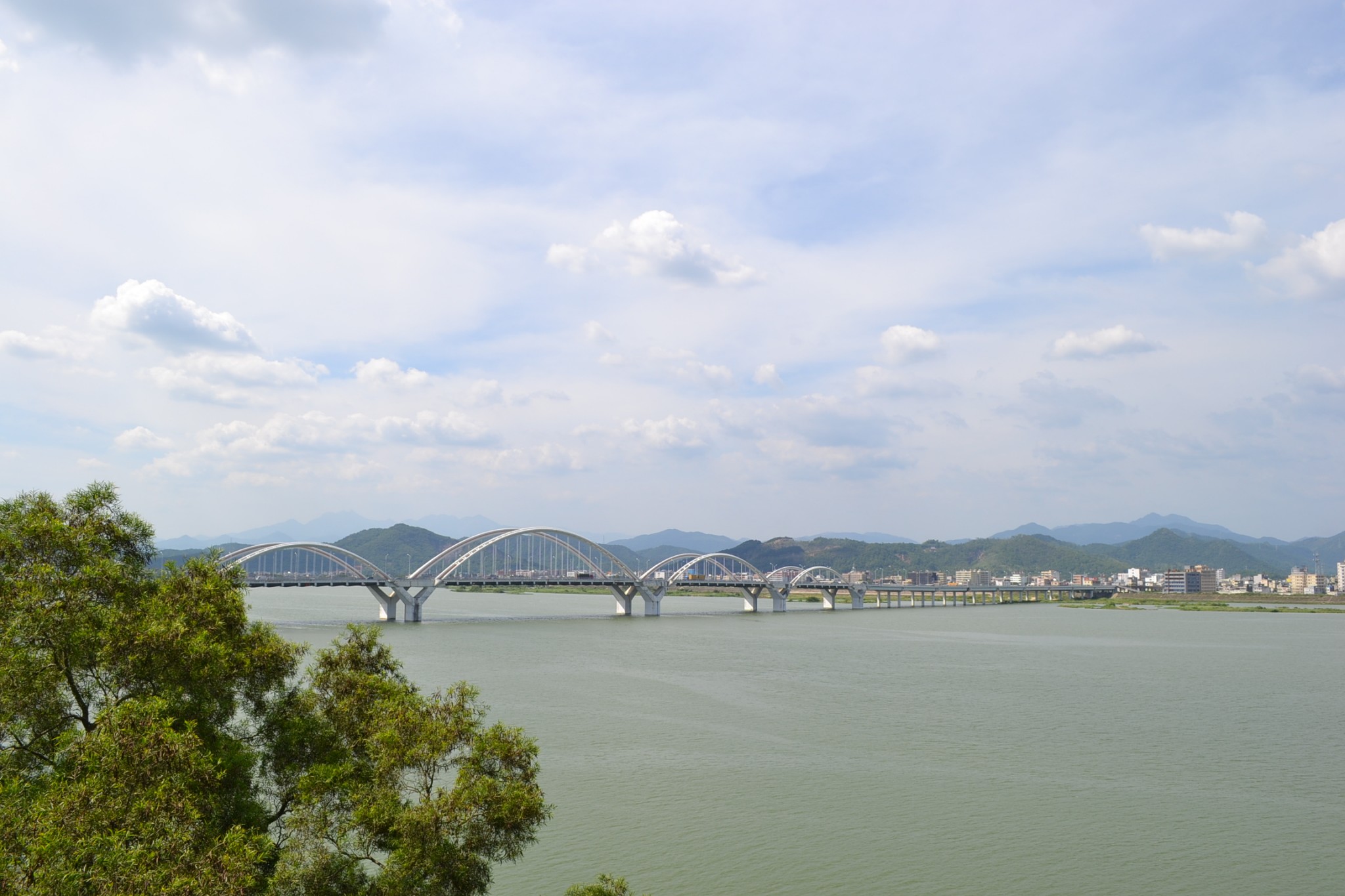 清澈的韩江水,清凉的游泳人,目测为Ⅱ类水质北阁景区中最高的树威武