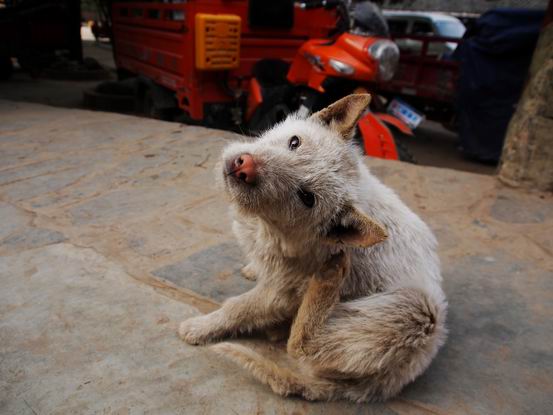 贵广高铁从江站