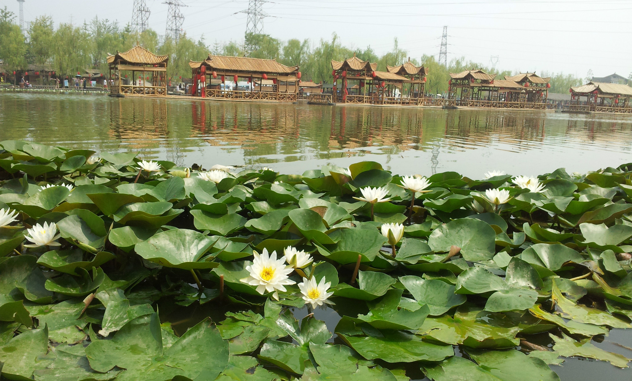 沙·沙河-周至水街及周边4月及8月游