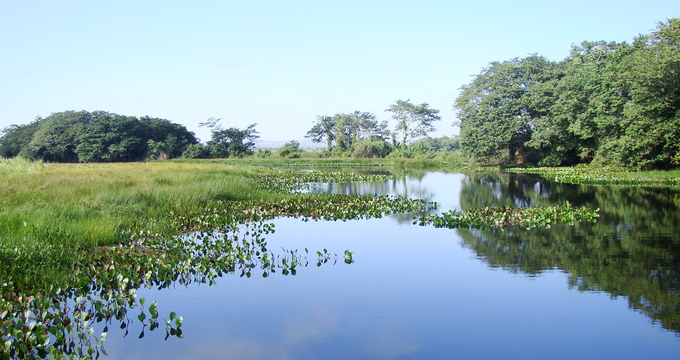 Grande Sertão Veredas National Park