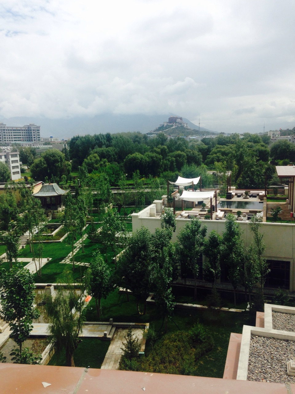 山坡上的香格里拉小伙伴去找我,结果敲错隔壁的门,巧遇了奔仓活佛