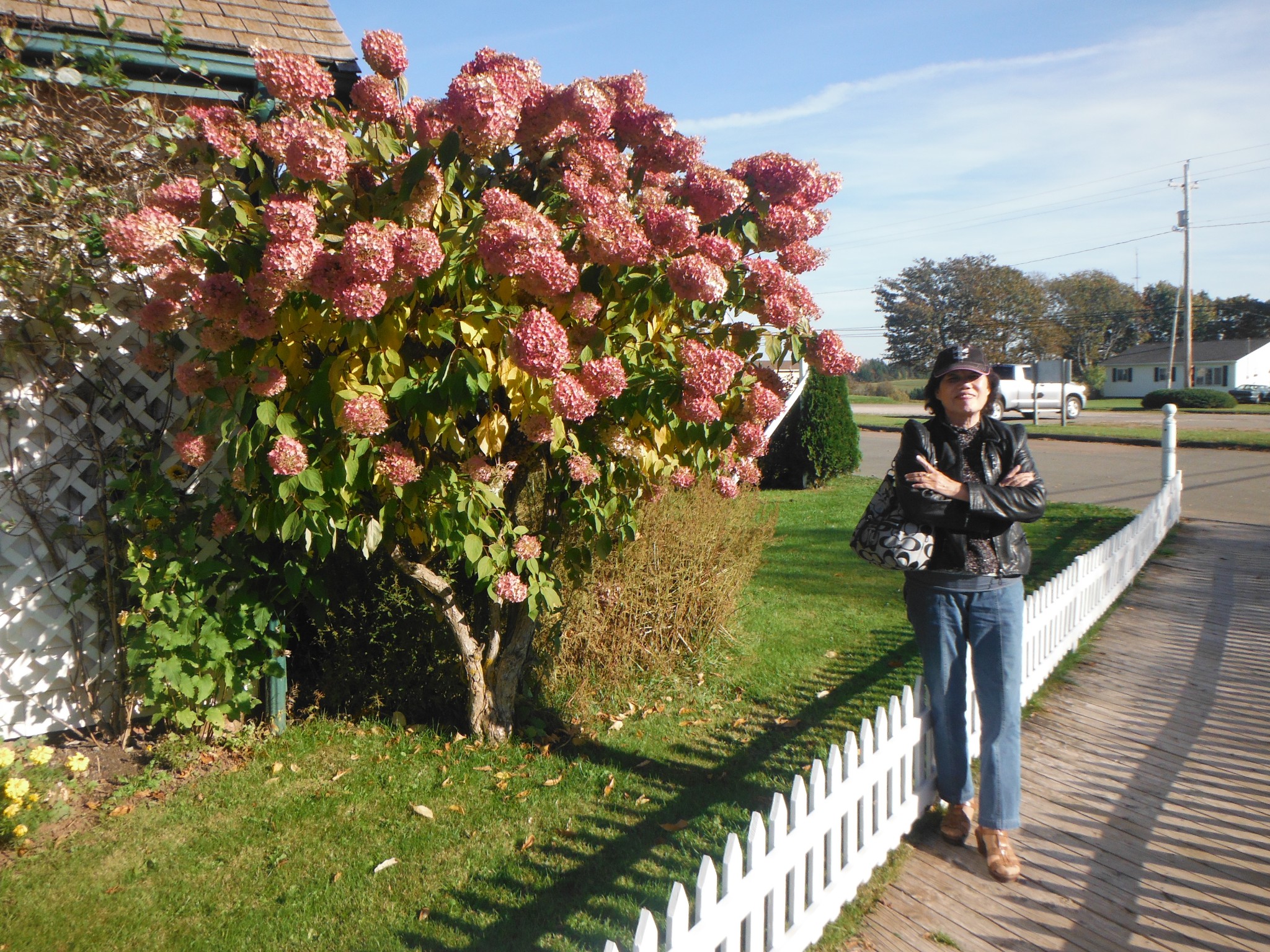 Lucy Maud Montgomery Birthplace