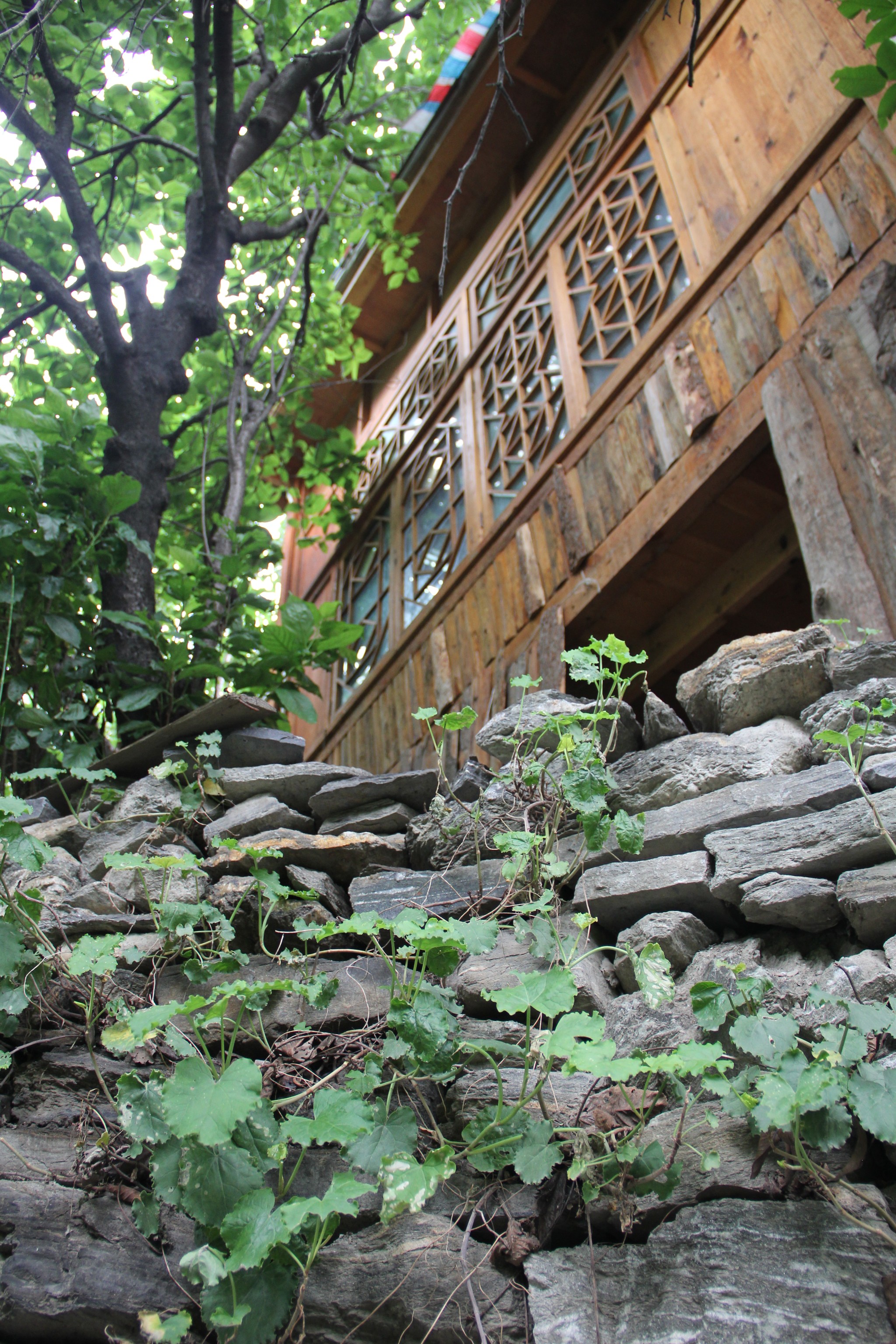 新寨已经改建成了旅游度假区,部分居民迁至这里.