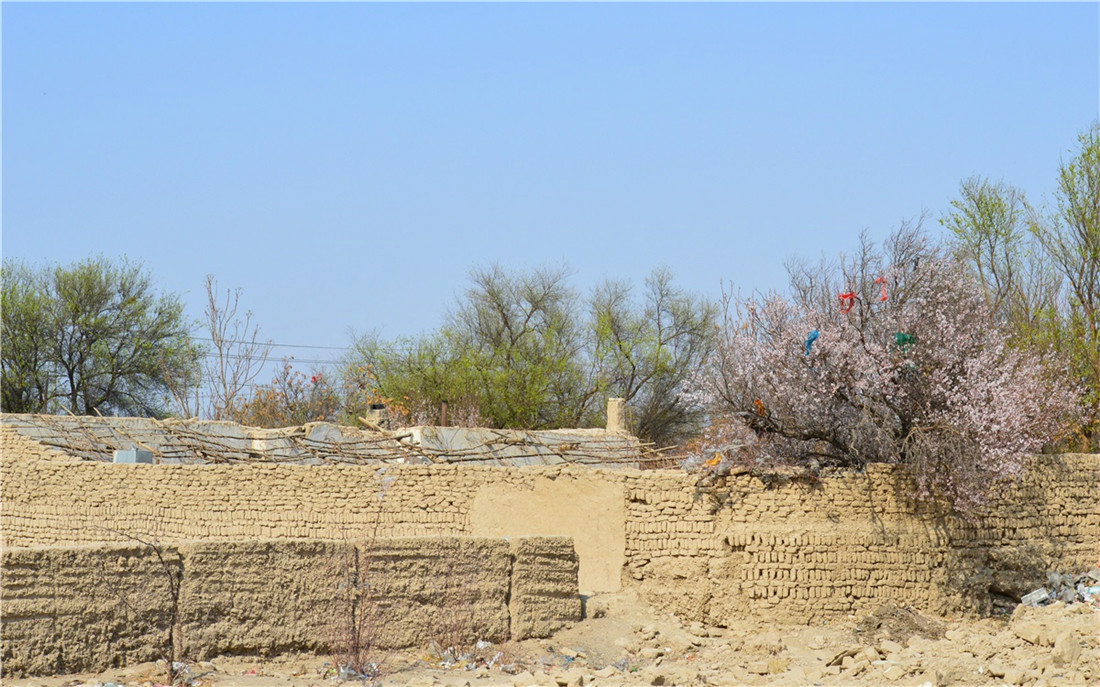 新疆吐鲁番托克逊夏乡杏花小草湖盐湖一日游3月底最佳