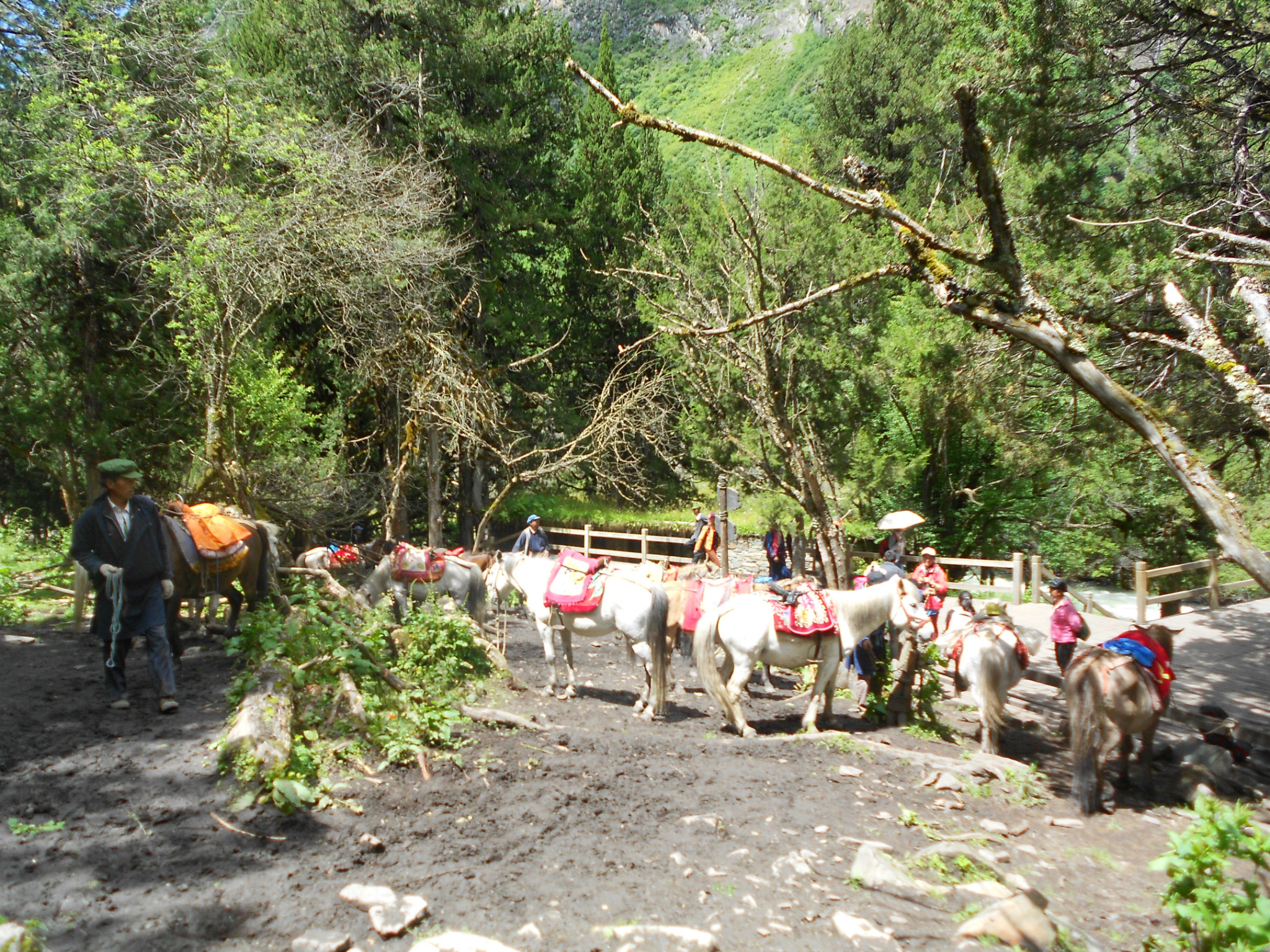 四姑娘山木骡子一个让人心灵安静的地方7月21日22日