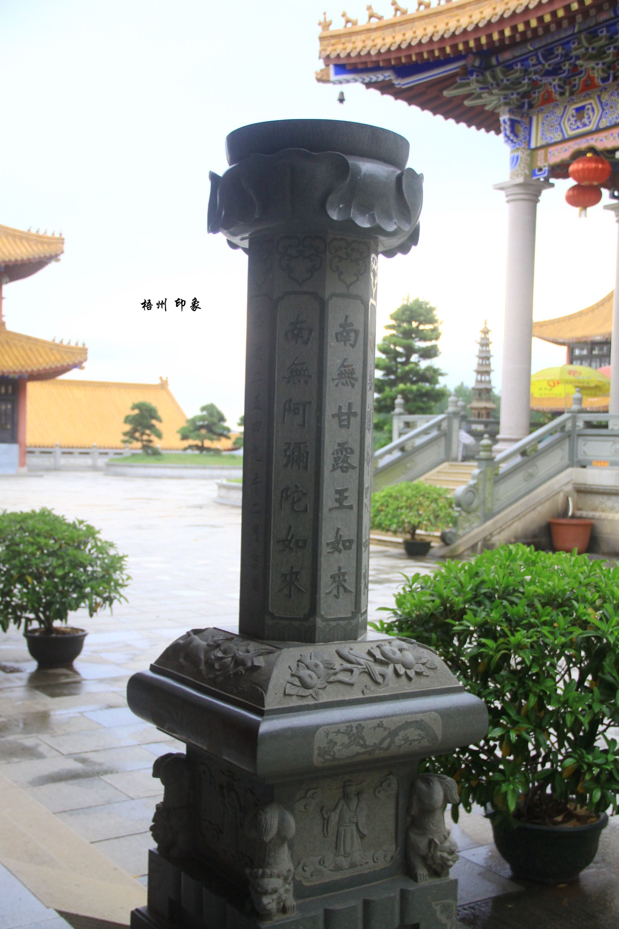 一个人的旅行梧州一日游