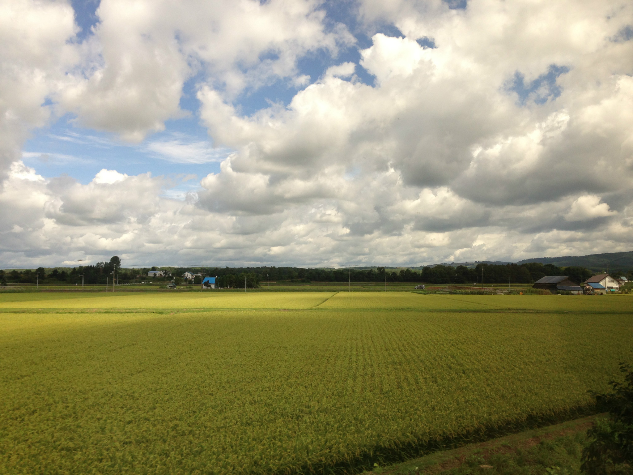 北海道自助遊攻略