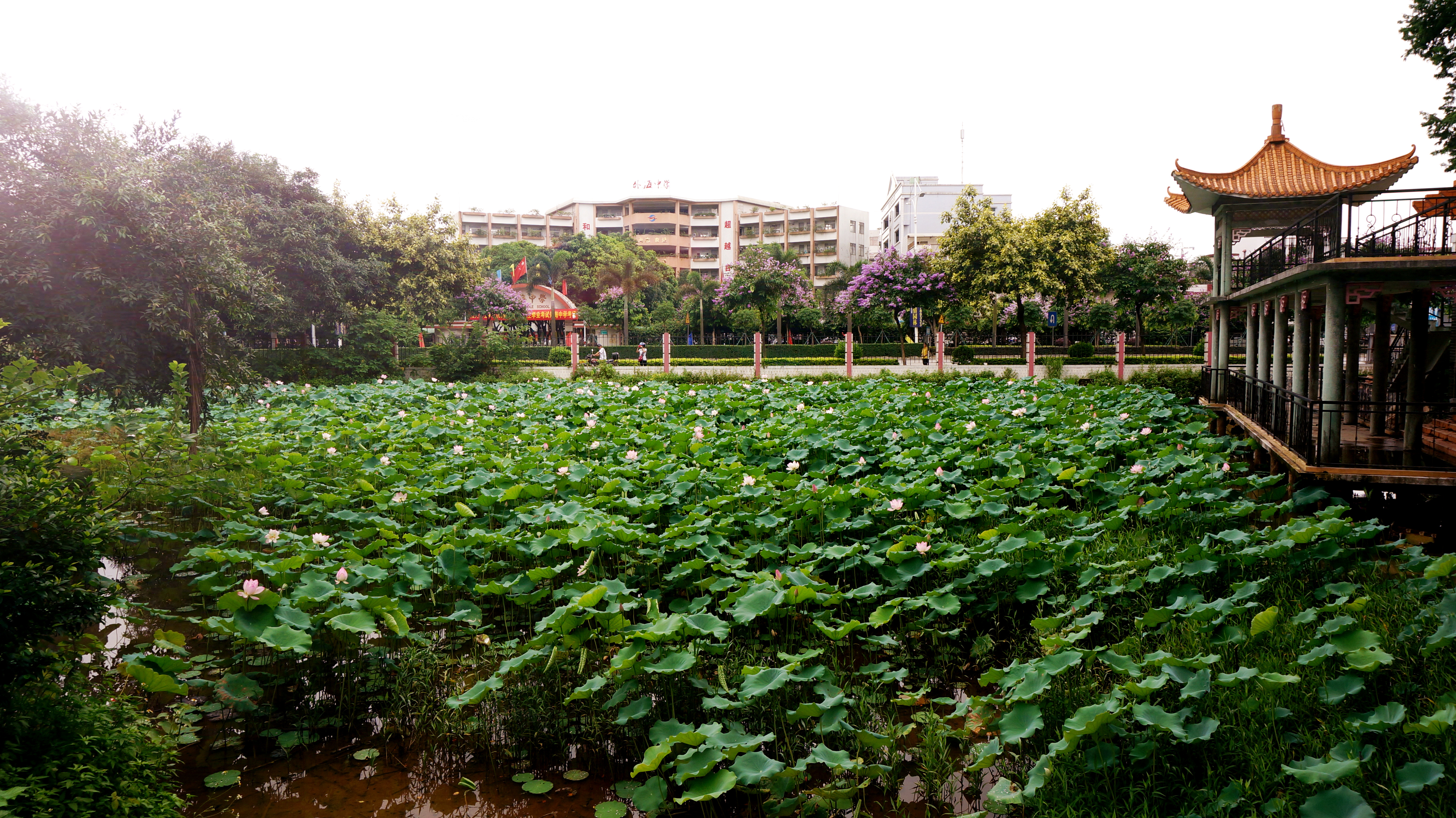 寺是江门市郊一处著名的名胜古迹,坐落于江海区外海镇的五马归槽山麓