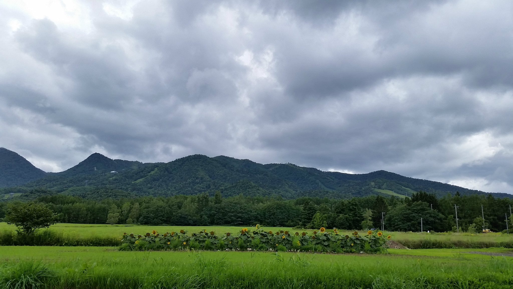 北海道自助遊攻略