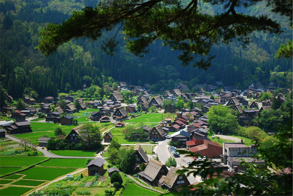 【名古屋图片】大阪-京都-高山-箱根-东京，我来说说日本的公共交通