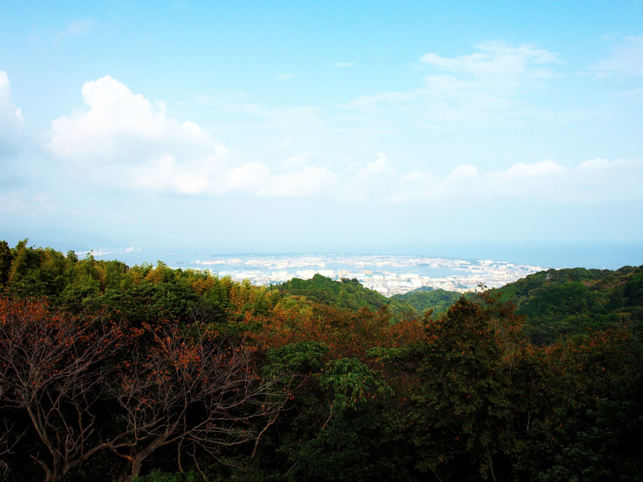 清水日本平运动公园攻略 清水日本平运动公园门票 地址 清水日本平运动公园景点攻略 马蜂窝