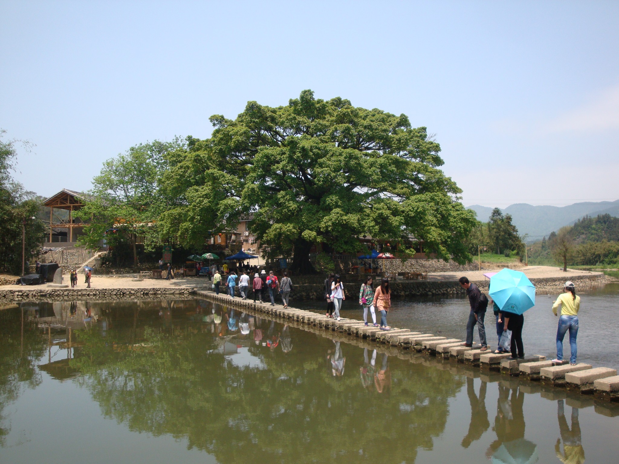 武夷山——福州——夏門9天遊記,福州旅遊攻略 - 馬蜂窩