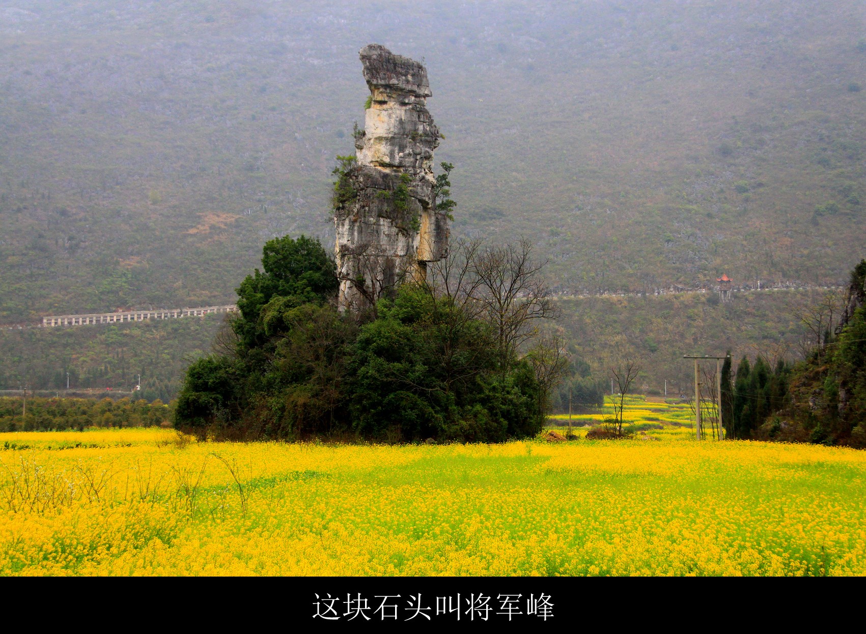 罗平 万峰林 普者黑 坝美 元阳梯田 抚仙湖 东川红土地 一网打尽
