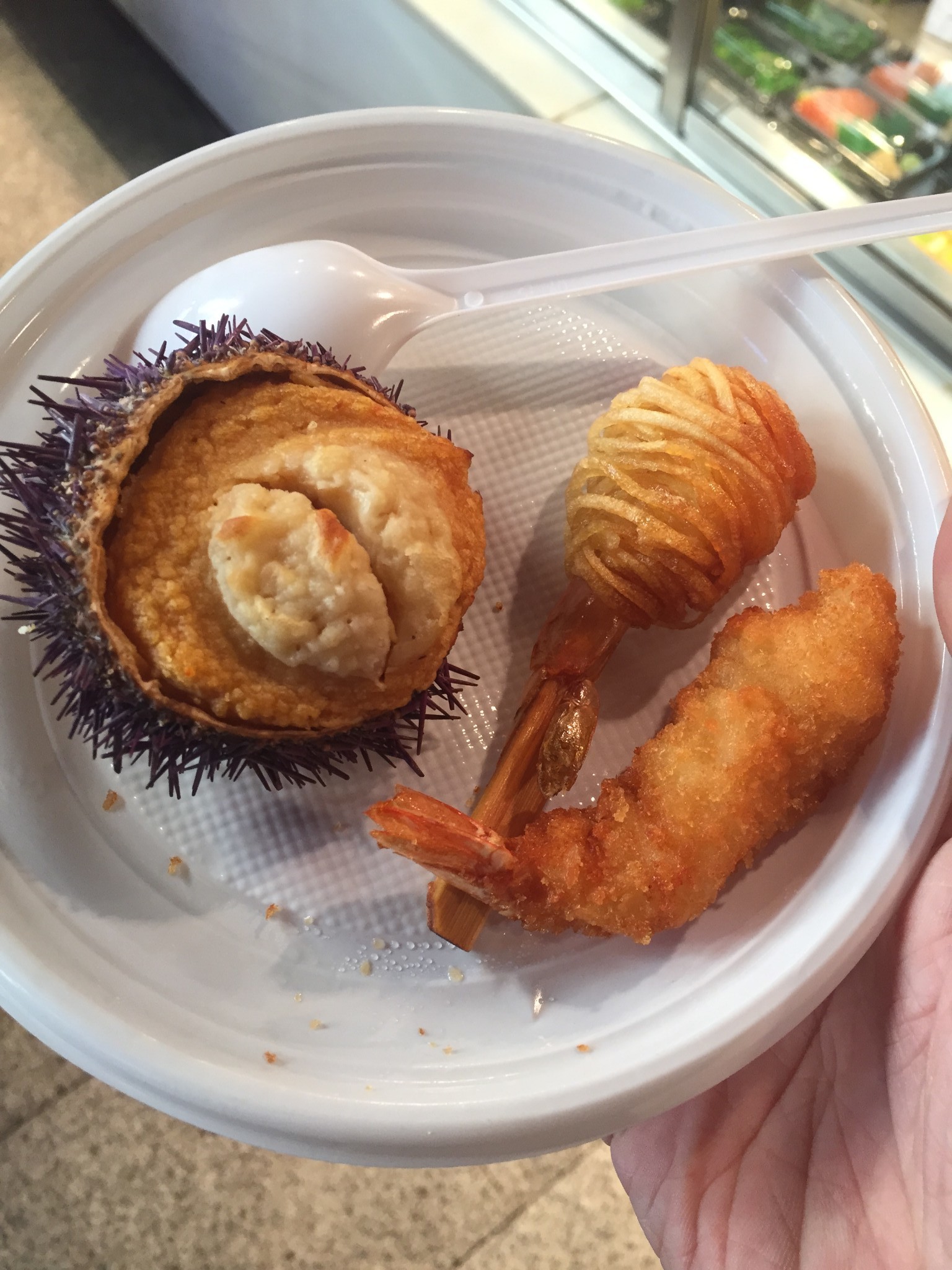 西班牙板鸭冬日阳光之行