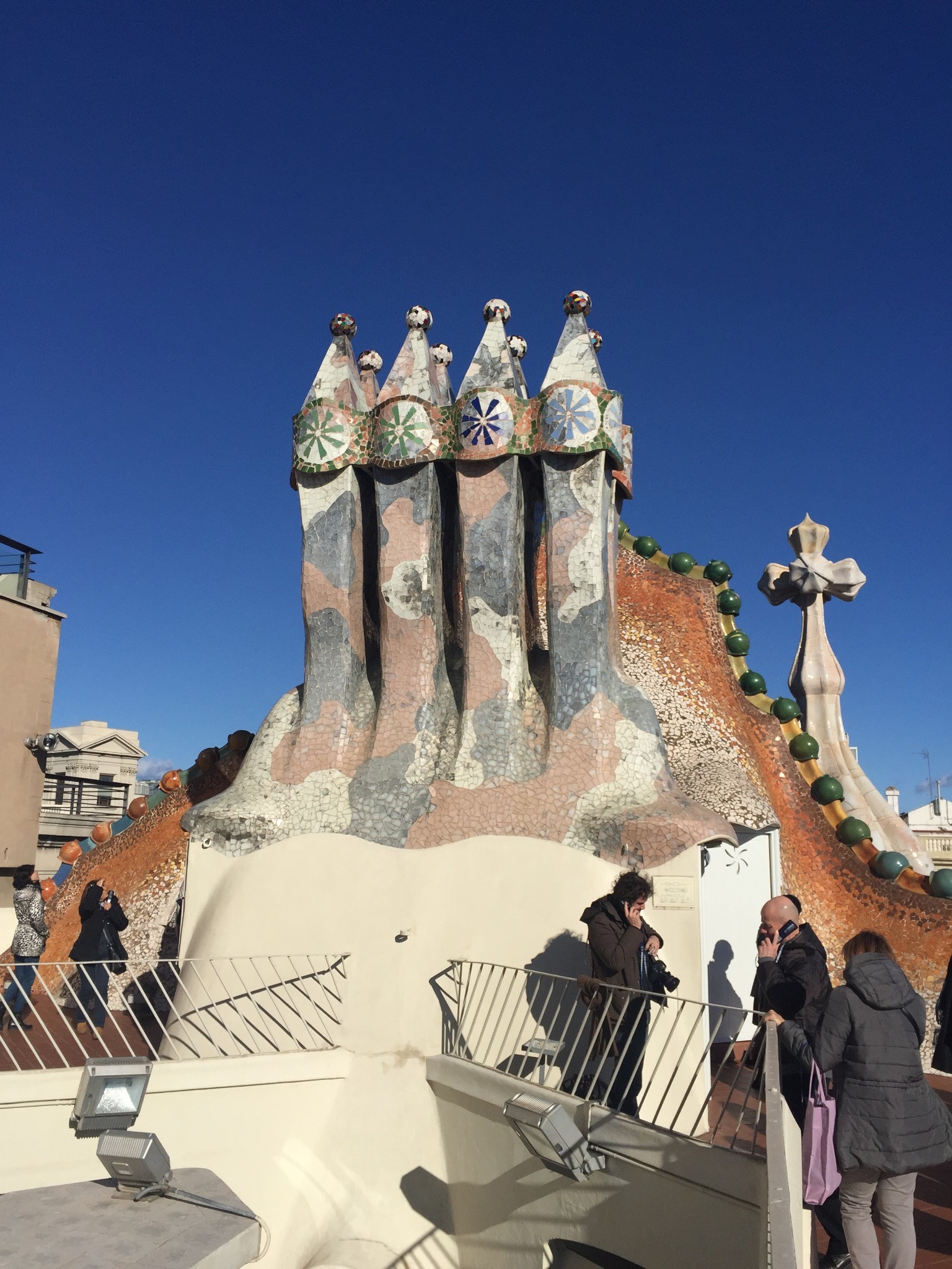 西班牙板鸭冬日阳光之行