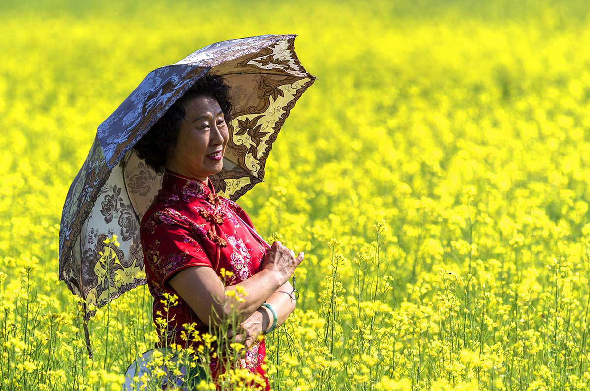 杨敬玮辽宁大连普湾新区复州湾街道裴屯村东北第一油菜花田