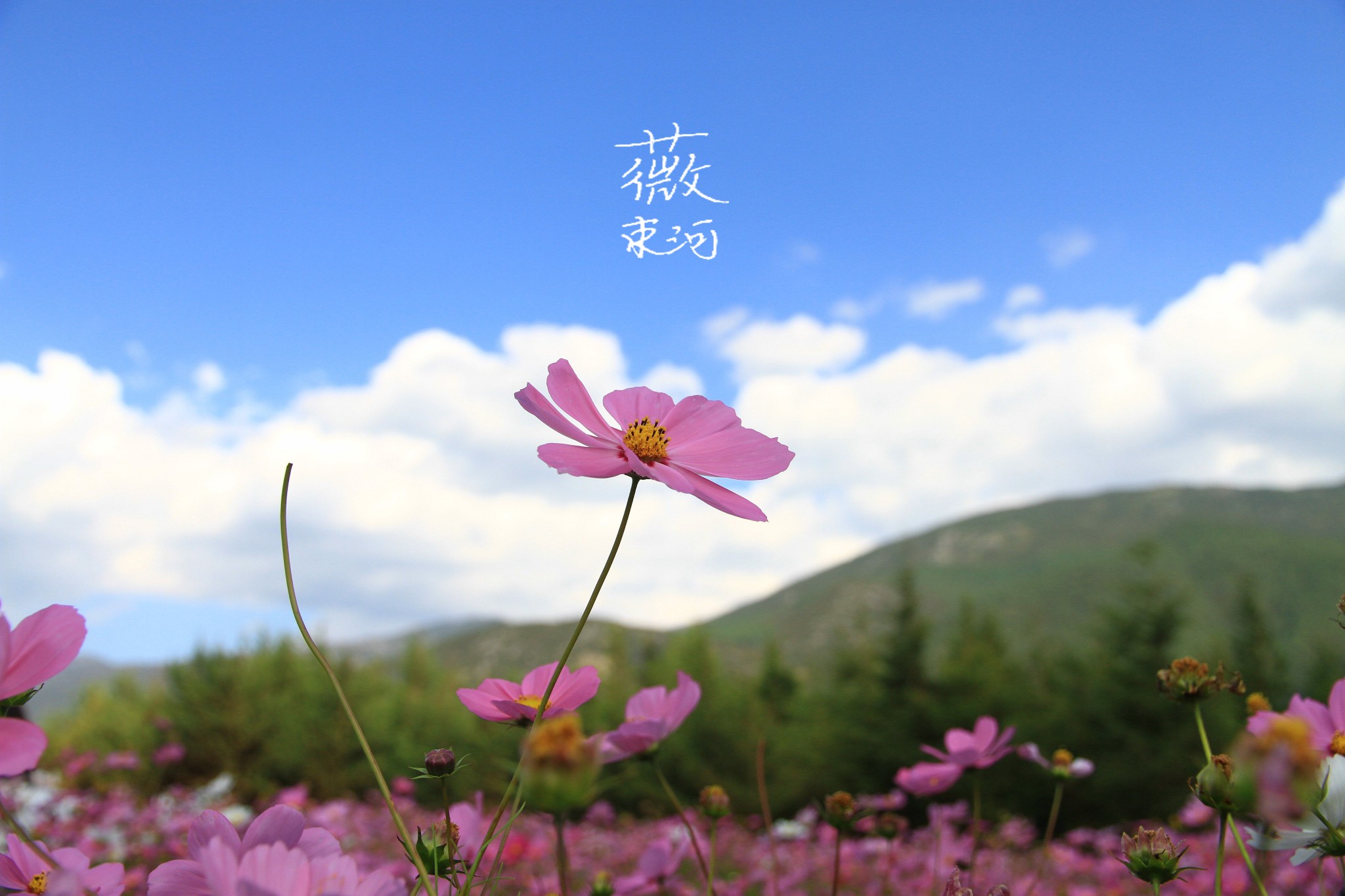 岁月静好只为享受束河那温暖的阳光