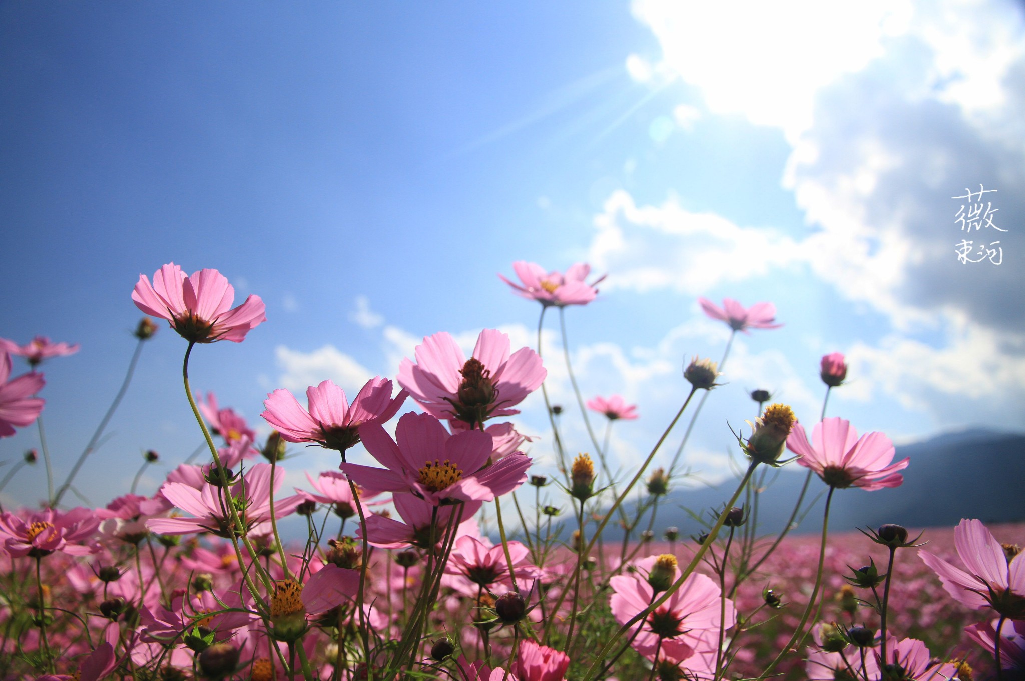 岁月静好只为享受束河那温暖的阳光