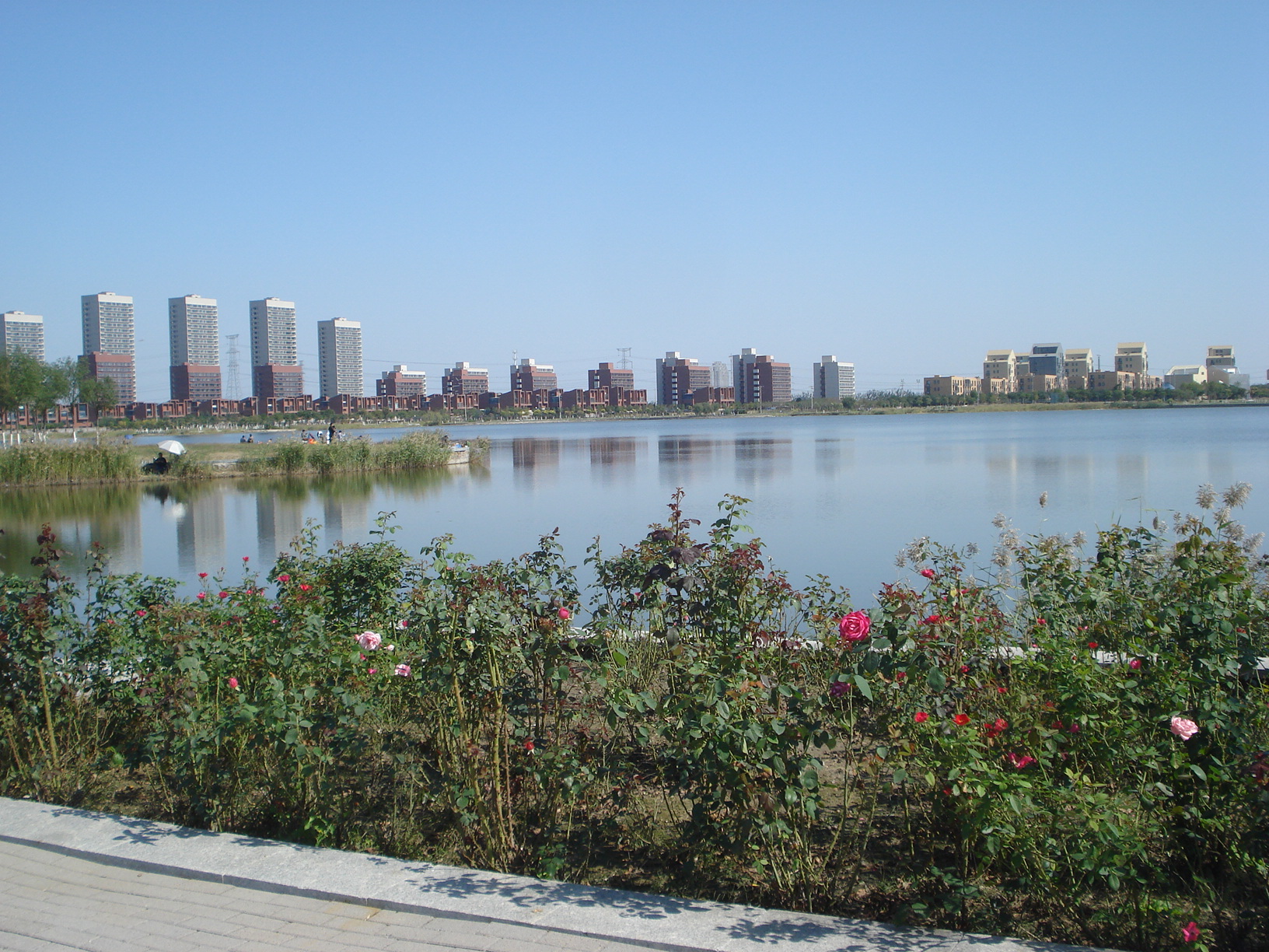 天津滨海高新区渤龙湖及周边