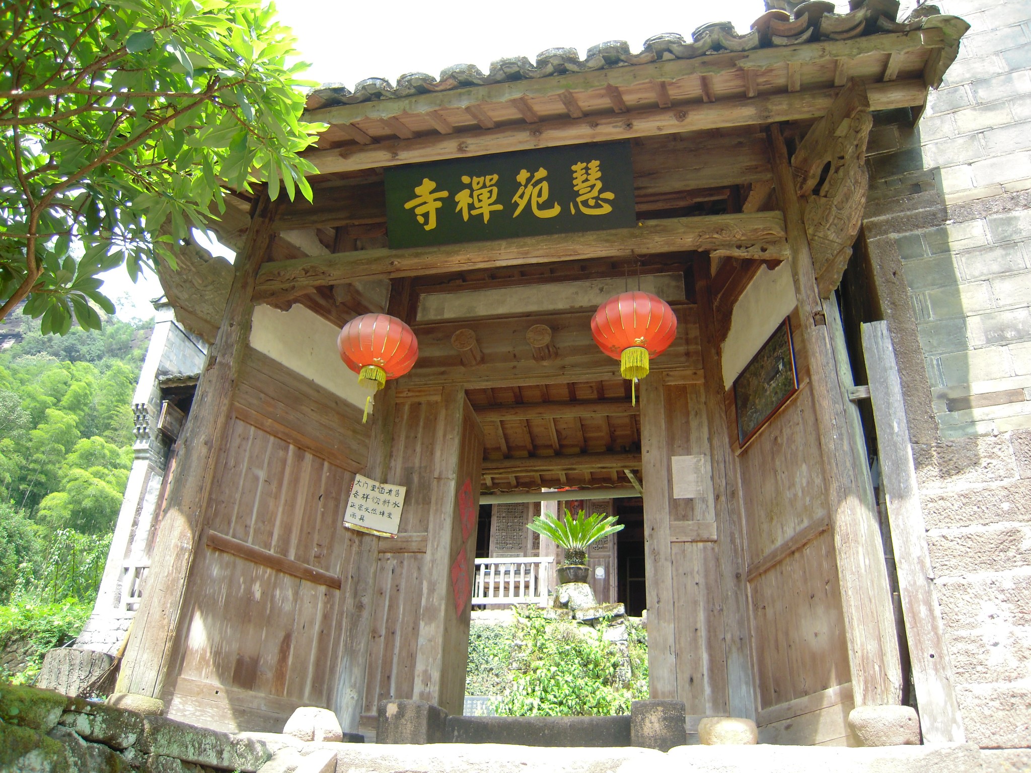 游走大福建—武夷山篇