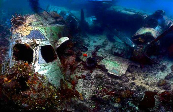 二战的沉船残骸这里成了沉船墓地在众多潜水目的地中,最特别的莫过于"