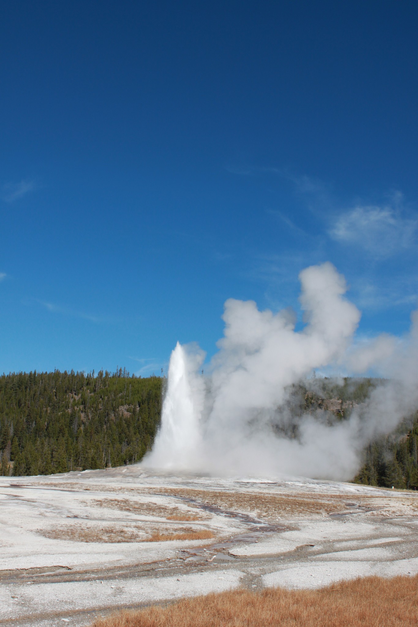 2014国庆假期美国西部自驾十日lavegassaltlakeyellowstone