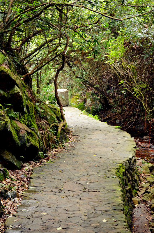 那一抹水墨山黛千岛湖