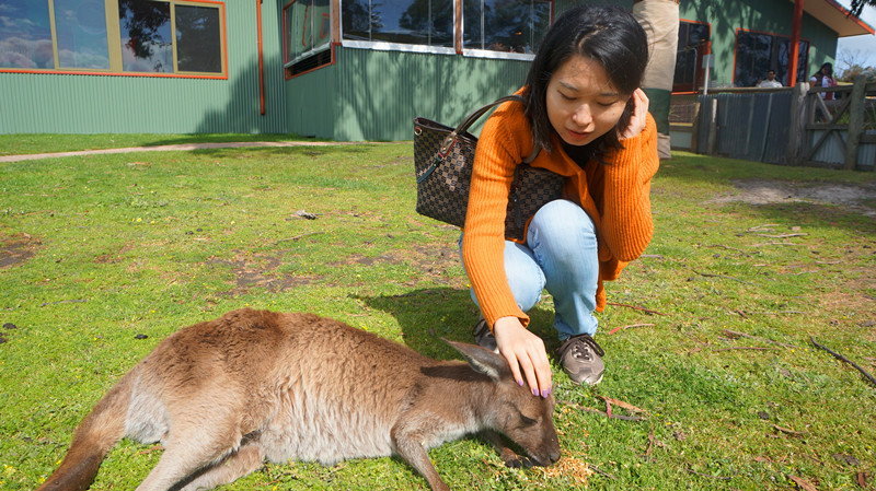 好行李 找到旅行社 下午1点准时出发 第一站先是去到了一个小型动物园