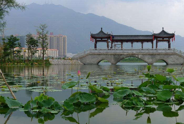 飞来湖湿地公园