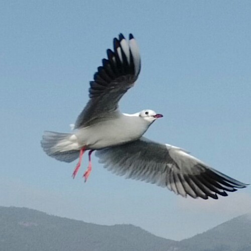 走走走
