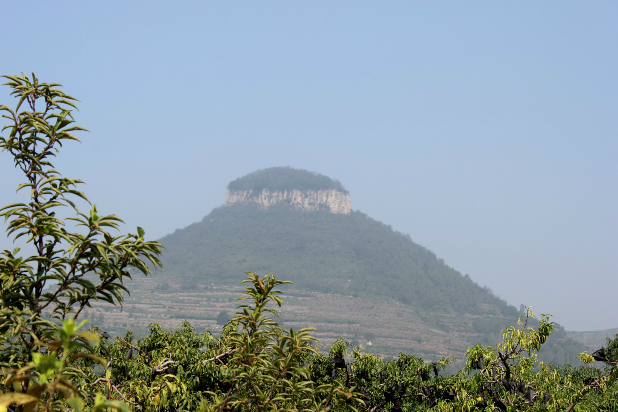 延参法师------岱崮神佛开光祈福