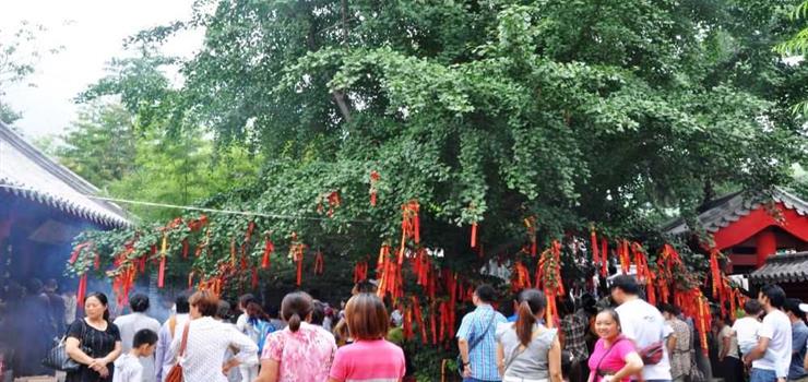 明光寺景区