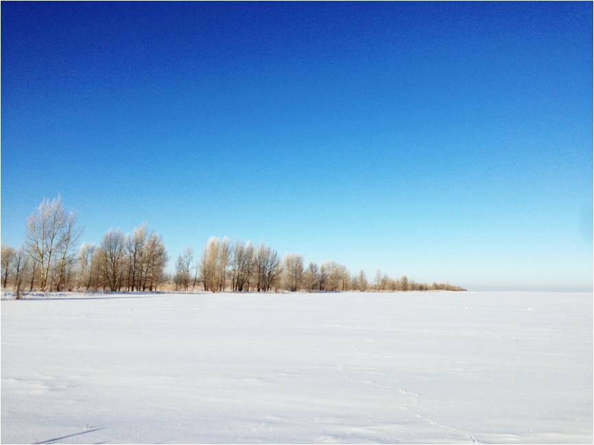 一路向北縱馳人生自駕滿洲里追逐最美雪景