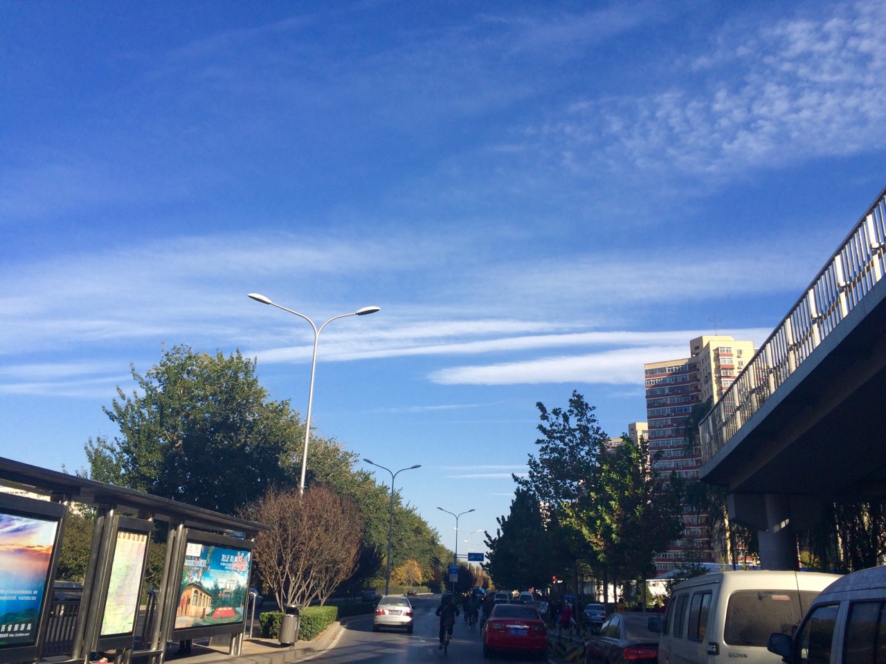 北京的秋天跑步香山路看银杏