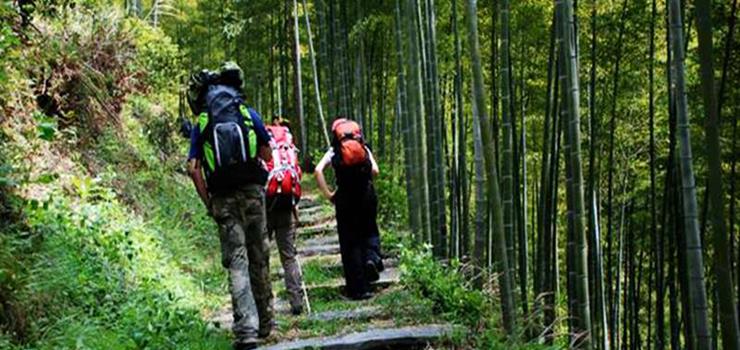 东黄山旅游度假区