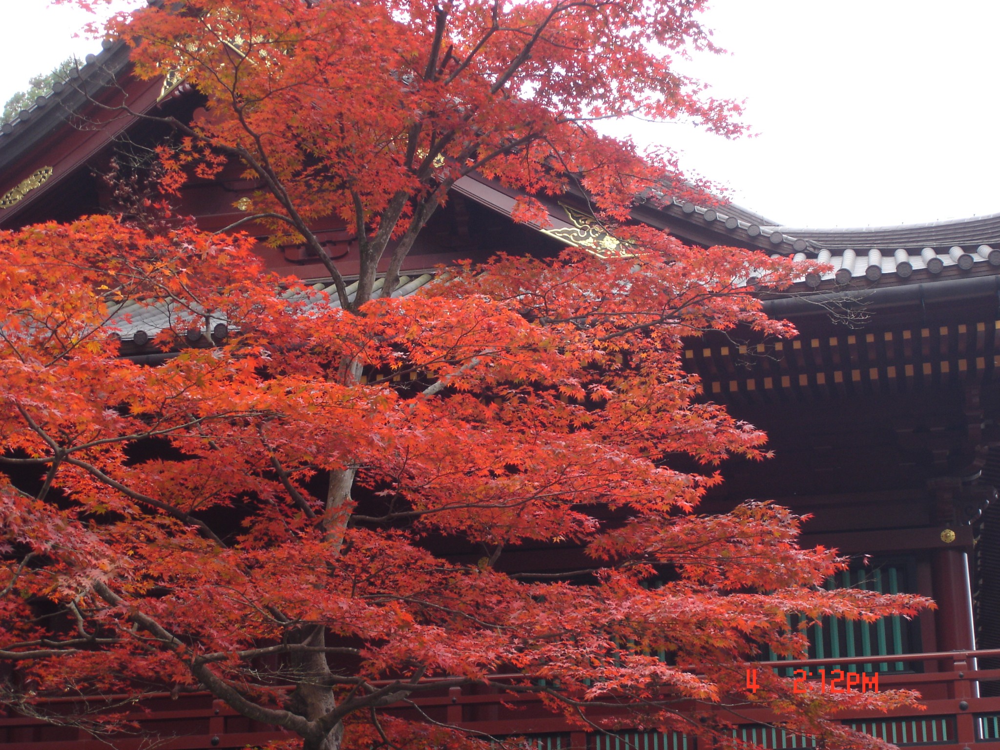 東照宮的紅葉給我印象最深日光東照宮日光東照宮不聽不看不說的三猿