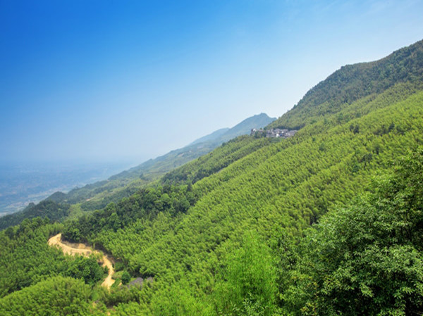重庆永川茶山竹海之十面埋伏