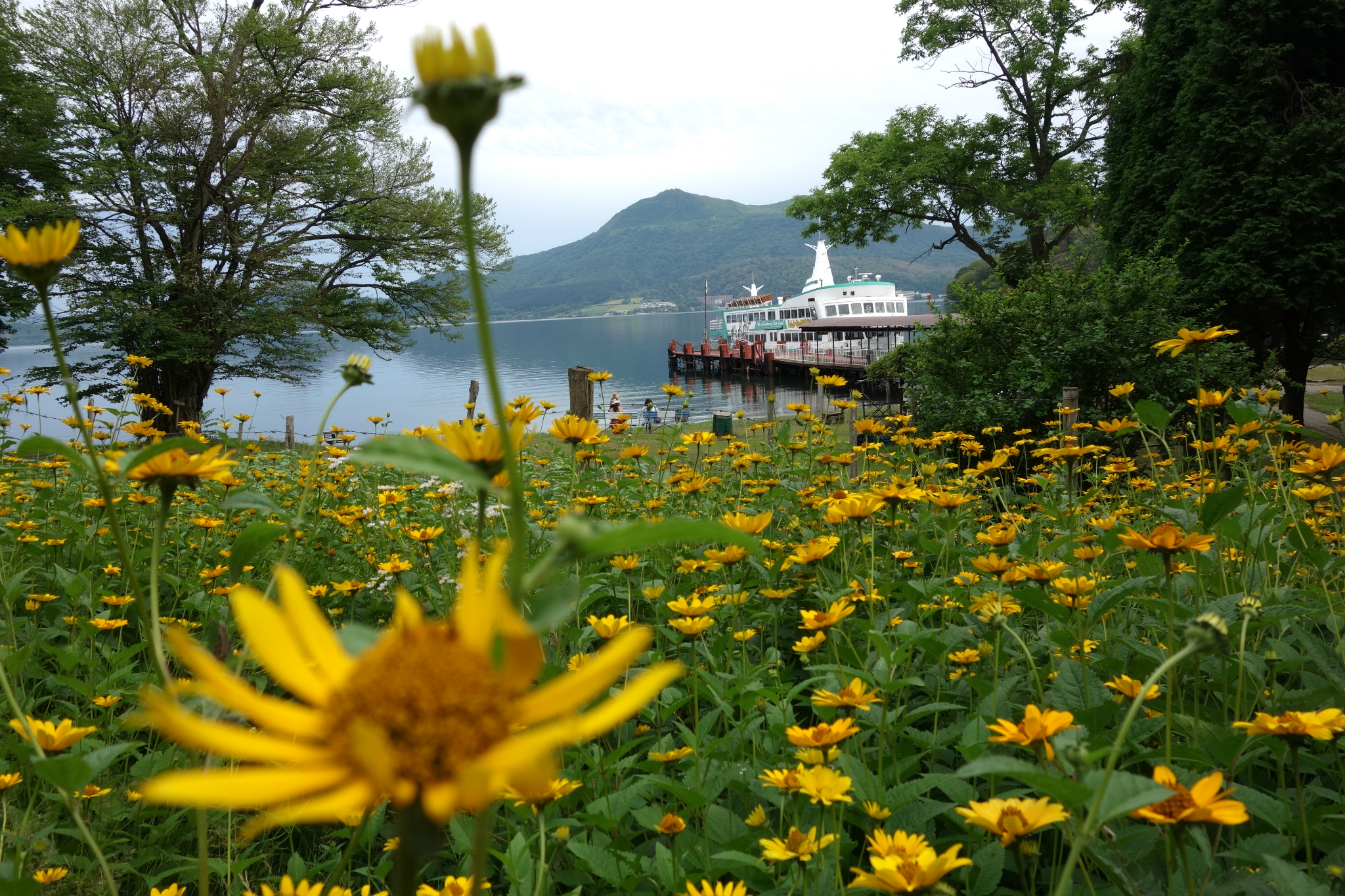 北海道自助遊攻略