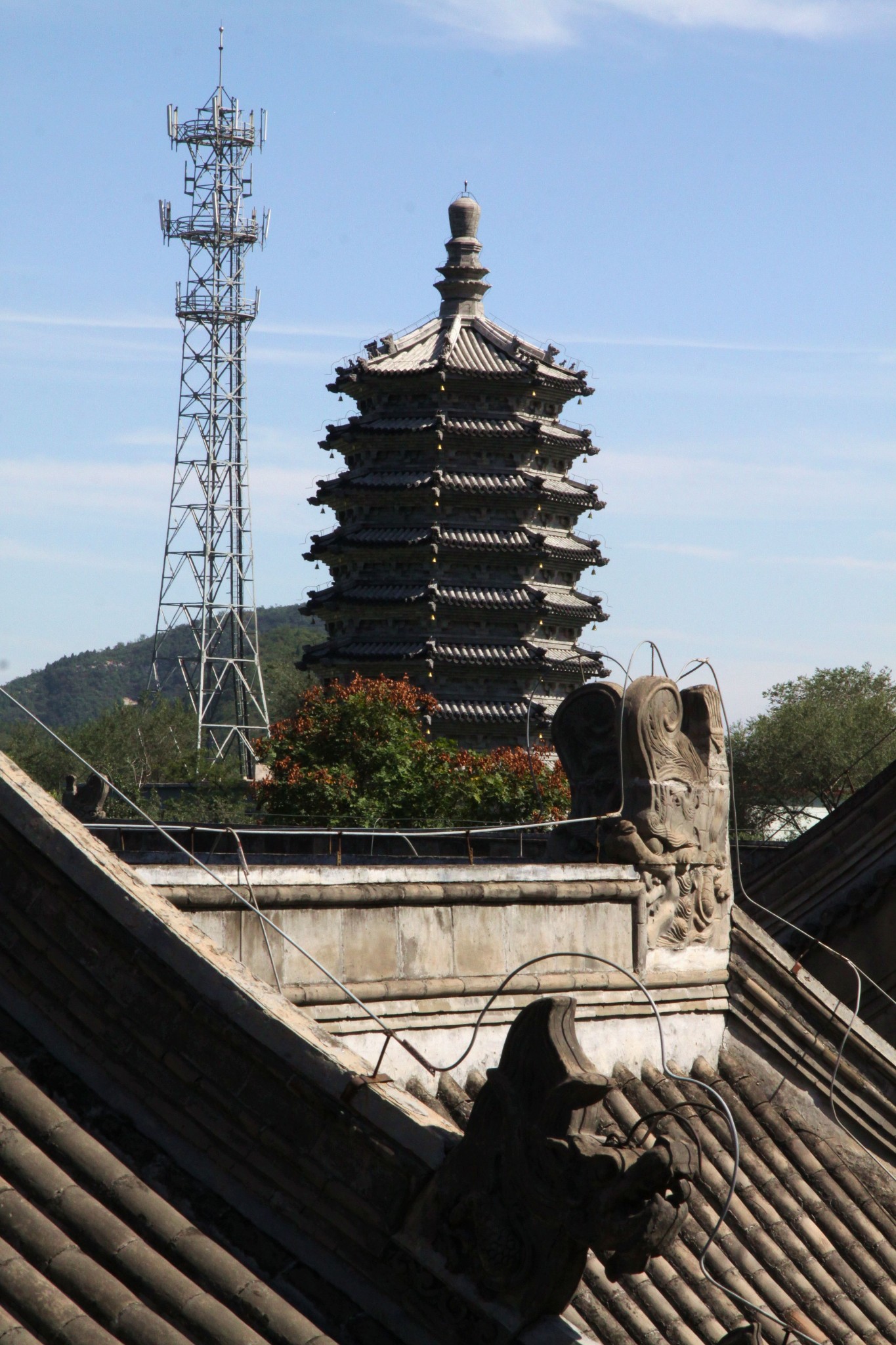 歷代長老的圓寂塔沿著幽幽竹林甬道回到二層中州院落雲居寺很注意宣傳