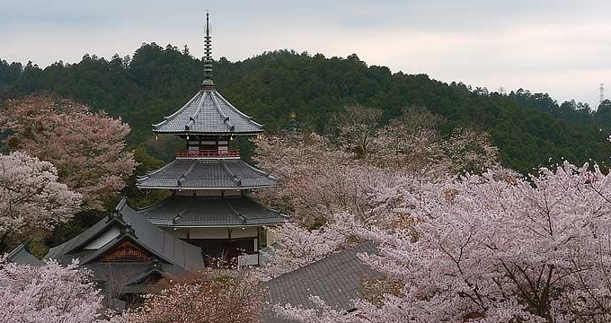 日本吉野町图片