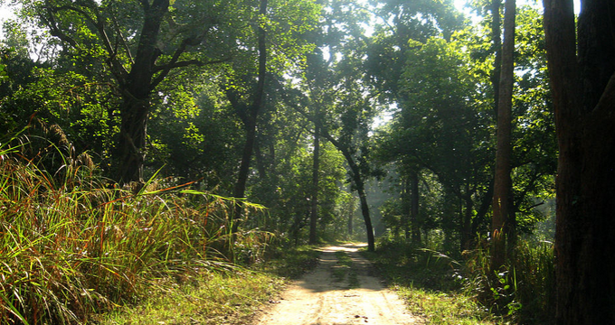 Shuklaphanta Wildlife Reserve