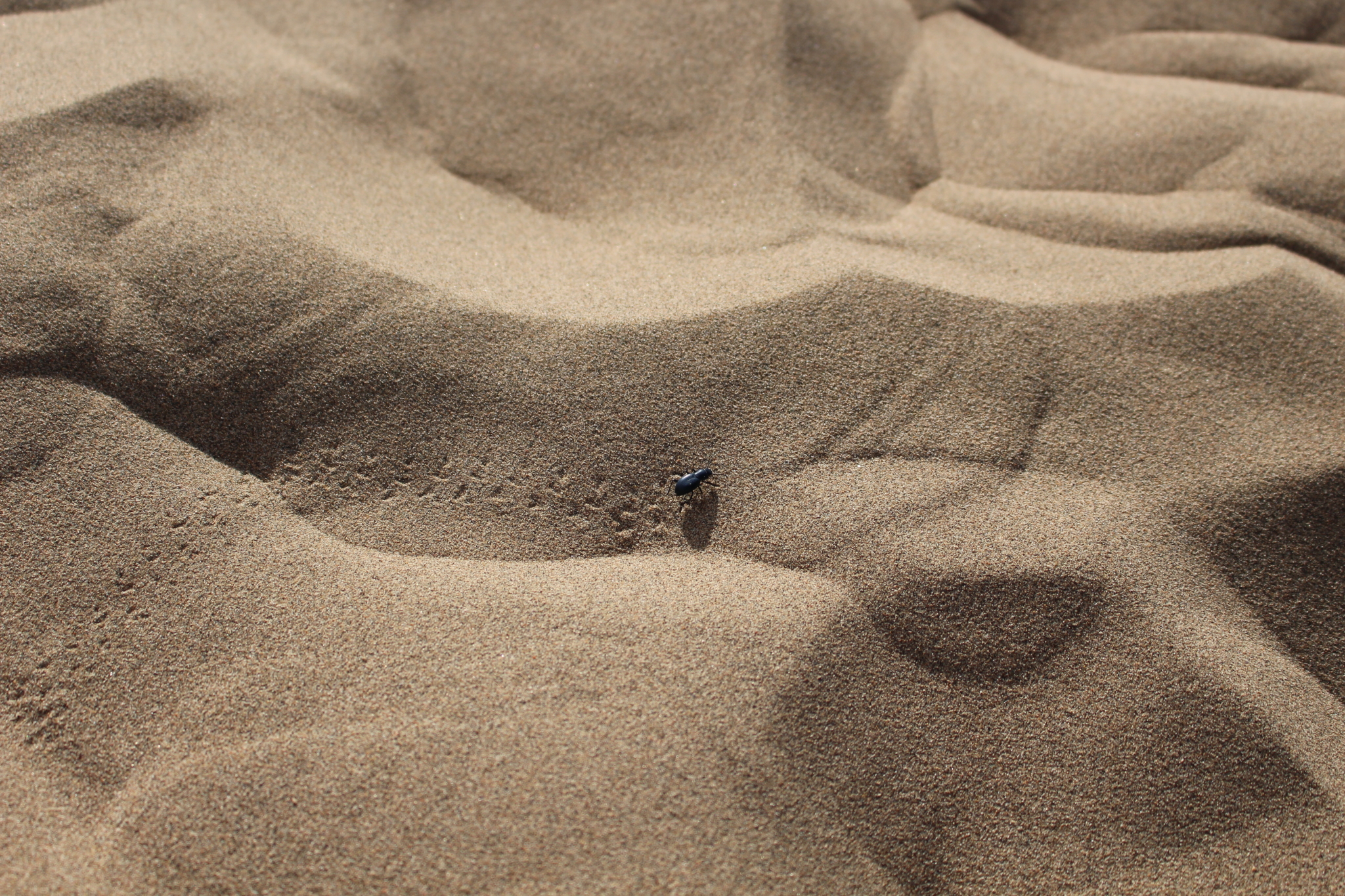 6.24-30,青海湖自助游攻略 - 马蜂窝